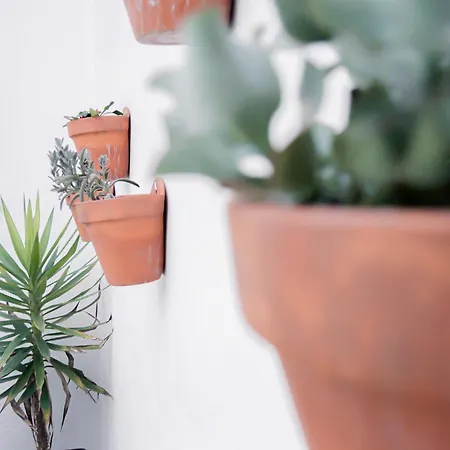 Encantador Céntrico Con Patio